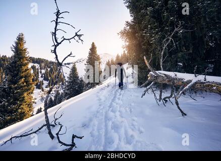 Tourist with walking on the snow trail in the mountains in the forest Stock Photo