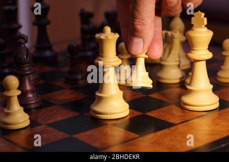 Chess Board & Pieces Free Stock Photo - Public Domain Pictures