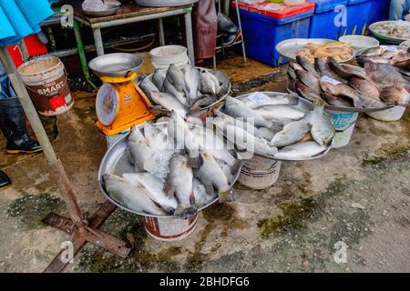 The fresh fish shop on the street with its vendor showing original Thai lifestyle at Prachuabkirikhan Thailand June 10, 2017 Stock Photo