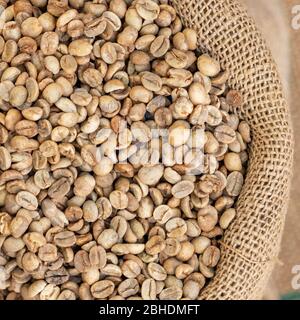 Green coffee beans in canvas sack Stock Photo