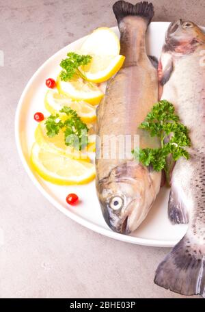 Fresh trout fish with lemon parsley cranberries. Healthy food rich in omega and protein. Cooking concept, raw uncooked fish in plate Stock Photo