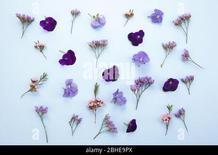Flowers composition. Pattern made of various colorful flowers on blue background. Flat lay, top view Stock Photo