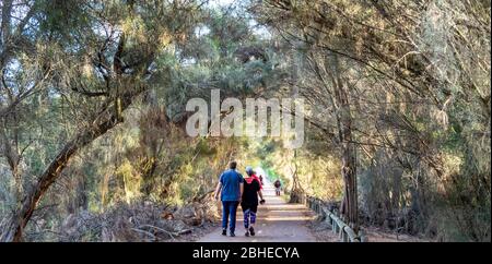 People walking along pathway through Baigup Wetlands river flats vegetation beside the Swan River Perth Western Australia. Stock Photo