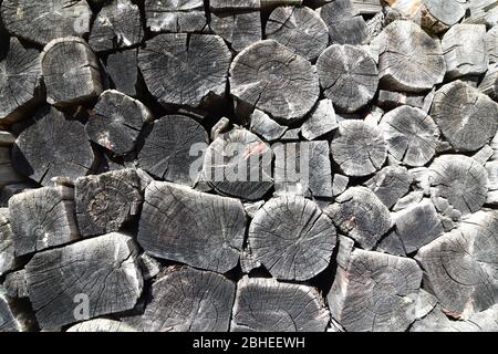 Side view on logs of fire wood stacked. Stock Photo