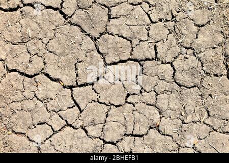 Dry soil with large cracks - global warming. Stock Photo