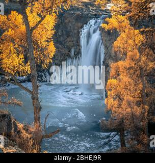 Orchon waterfall surrounded by autumnal coloured trees, Uvurkhangai Province, Mongolia, Asia Stock Photo