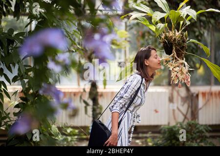 Young woman in garden smelling flower.Beautiful eco modern garden Stock Photo