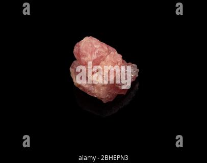 macro shot of raw specimen of rose quartz with inclusion growing on the side of clear crystals that resemble bubbles on a reflective black background Stock Photo