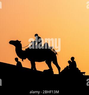 Camel riding at sunset, in the sand dunes at Dunhuang, Gansu province, China. Stock Photo