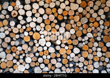 Pattern of firewoods stack closeup. Nature background Stock Photo