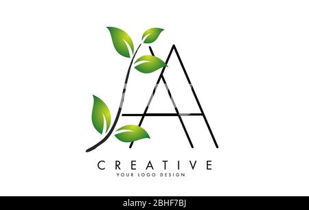 Leaf Letters AA A Logo Design with Green Leaves on a Branch. Letters AA with nature concept. Eco and Organic Letter Vector Illustration. Stock Vector