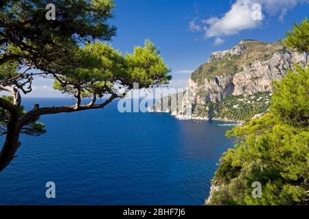 View from Belvedere Tragara view point, Capri Island, Bay of Naples, Italy, Europe Stock Photo