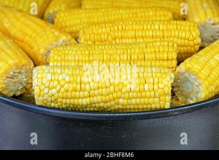 Boiled corn on the cob. Hot freshly cooked corn. Stock Photo
