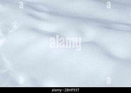 Real white pure snow as background or texture Stock Photo