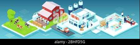 Isometric vector of a milk produce production chain from a dairy farm through factory to consumer on a supermarket shelves Stock Vector