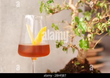 Yellow cocktail with lemon zest in wineglass, bonsai tree in the background Stock Photo