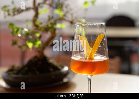 Yellow cocktail with lemon zest in wineglass, bonsai tree in the background Stock Photo