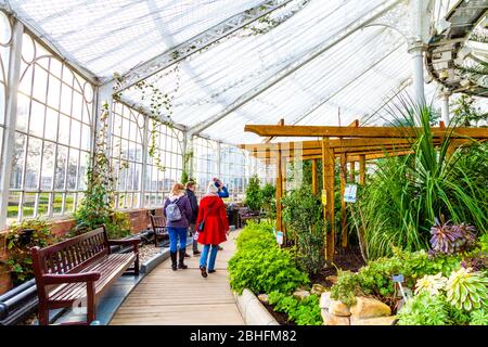 inside the Winter Gardens at the Peoples Palace Glasgow Green Stock