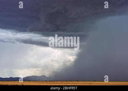 Microburst with heavy rain and torrential downpour during a thunderstorm in Chuichu, Arizona Stock Photo