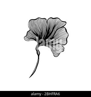 Ginkgo leaf ink line art design, vector isolated design element with wave outline drawing. Ginkgo biloba or ginko leaf, botanical plant engraving for modern interior decoration art design element Stock Vector