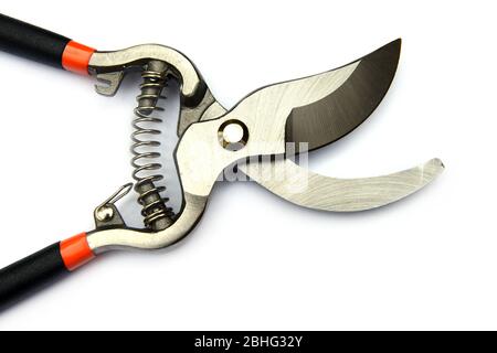 Black garden secateurs isolated on a white background Stock Photo