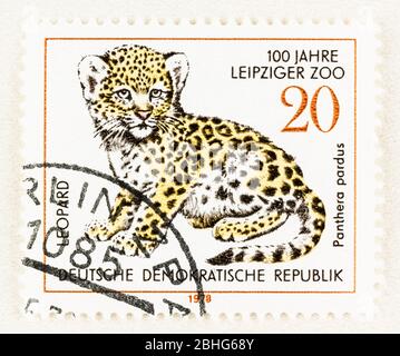 SEATTLE WASHINGTON - April 25, 2020: Postage with young leopard commemorating 100 years of the Leipzig Zoo in East Germany. Scott # 1911