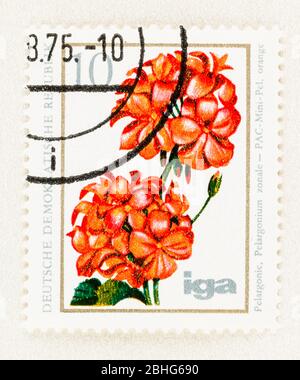 SEATTLE WASHINGTON - April 25, 2020: 1975 East Germany postage stamp featuring Geranium  in bloom. Scott # 1671