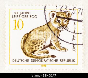 SEATTLE WASHINGTON - April 25, 2020: Postage featuring young lion commemorating 100 years of the Leipzig Zoo in East Germany. Scott # 1910