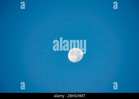 Full moon in daylight On the bright sky. Stock Photo