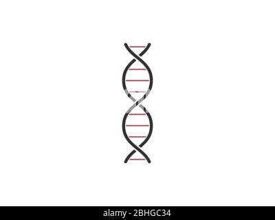 Chromosome, dna, genetic icon. Vector illustration, flat design. Stock Vector