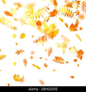 Autumn composition with maple leaves. EPS 10 vector Stock Vector