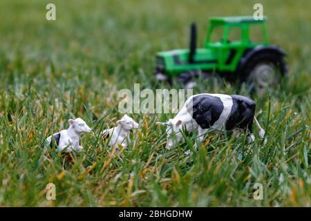 toy farm tractor on grass with toy cows Stock Photo