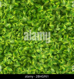 Seamless green leaves pattern spring or summer fresh background. EPS 10 Stock Vector