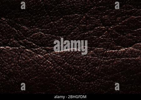 Stylish varnished dermatin texture. Superlative dark leatherette texture. Stock Photo