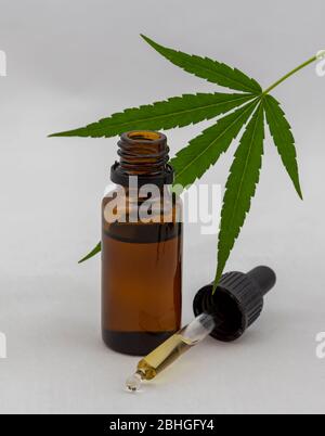 Hemp-Oil, CBD in bottle with Dropper and Marijuana leaf Stock Photo