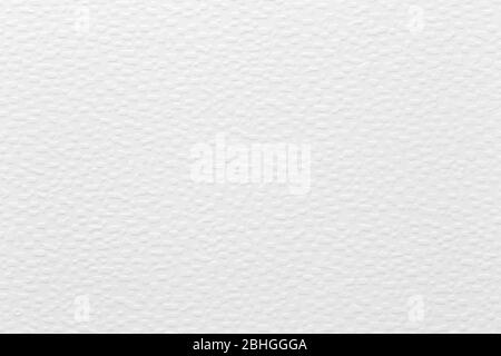 Grey paper texture. Paper in extremely high resolution Stock Photo