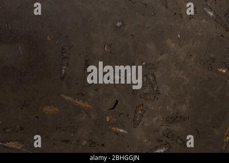 Luxury natural dark brown marble texture close up. Stock Photo