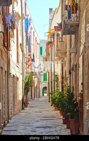 Image of the city of Molfetta, directly on the sea Stock Photo