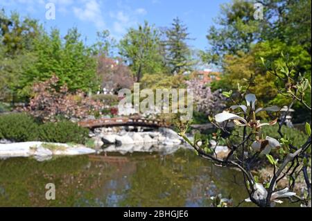 Setagaya Park in spring Vienna Austria Stock Photo