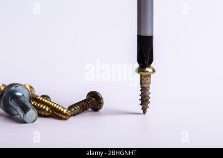 different set of screws and screwdriver on white background Stock Photo