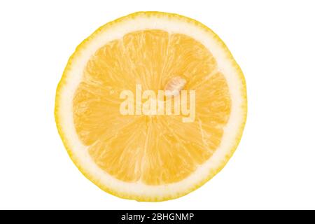 Fresh lemon on white background. Stock Photo