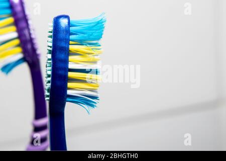 two toothbrushes with multi-colored bristles on a white background Stock Photo