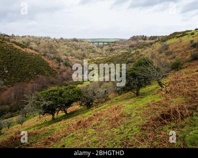 The disused Meldon railway viaduct (1874) carried the London and South Western Railway over the West Okement River in Dartmoor.  Devon, England, UK. Stock Photo