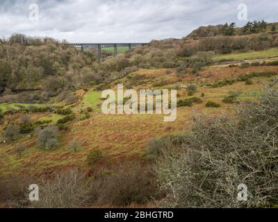 The disused Meldon railway viaduct (1874) carried the London and South Western Railway over the West Okement River in Dartmoor.  Devon, England, UK. Stock Photo