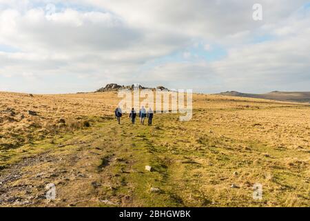 A party of walkers on the path of the former Princetown Railway, now a popular walking route. King's Tor in background.  Dartmoor, Devon, England, UK. Stock Photo