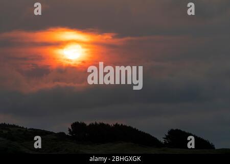 Sunset coloured by smoke from bush fires in Australia, Titahi Bay ...