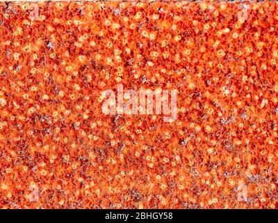Just rusty rust of steel. Old rusty metal sheet.   Rough oxide plate close up. Strong rust. Hard decay of metal in macro. Oxidation of steel. Chemical Stock Photo
