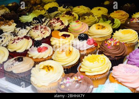 Frosted cupcakes sit on display for sale. Varied flavors and colorful types of dessert, ideal for birthdays, party, event, catering, bakery concept Stock Photo