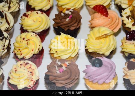 Frosted cupcakes sit on display for sale. Varied flavors and colorful types of dessert, ideal for birthdays, party, event, catering, bakery concept Stock Photo