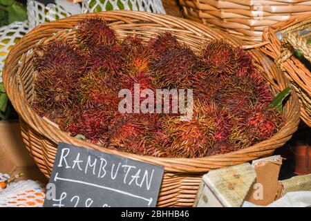 The rambutan is a medium-sized tropical tree. The name also refers to the edible fruit produced by this tree. Is related to lychee Stock Photo